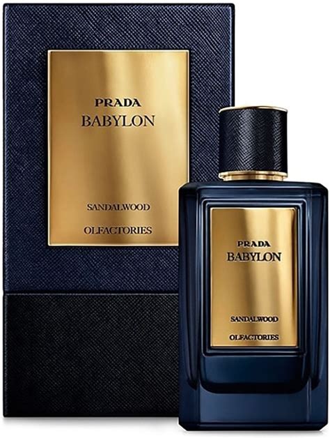 babylon sandalwood prada homme|PRADA .